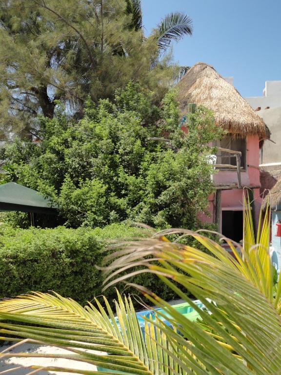 Acamaya Reef Cabanas Puerto Morelos Buitenkant foto