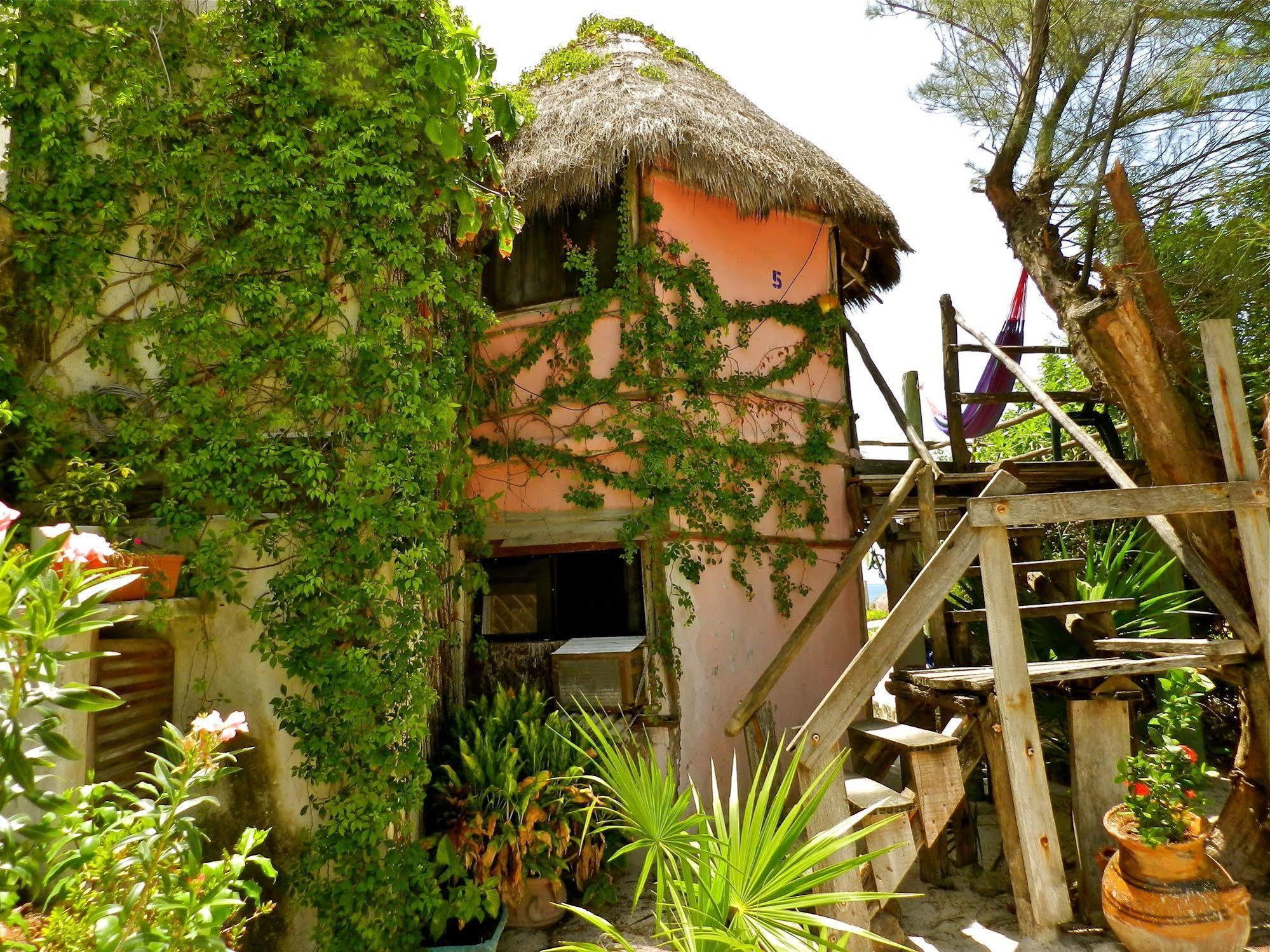 Acamaya Reef Cabanas Puerto Morelos Buitenkant foto